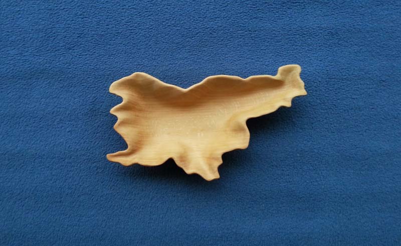 Slika 8 - posoda Slovenija 