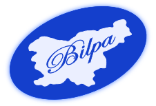 Bilpa